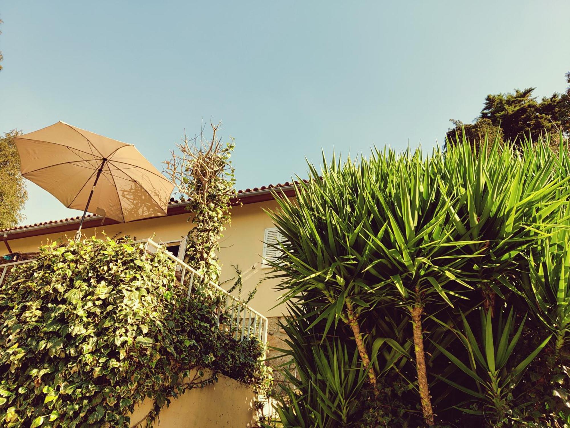 Monteiro'S Geres Countryhouse Ferral Exterior foto